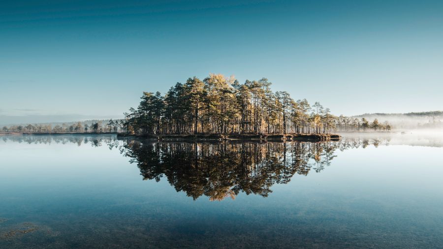 Calm lake reflecting autumn trees at sunrise